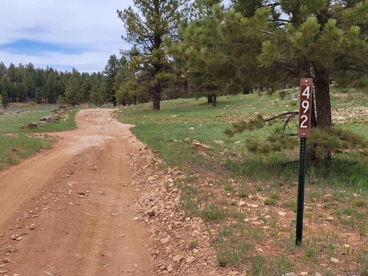Tommy Loop to Henrie Knolls trail photo