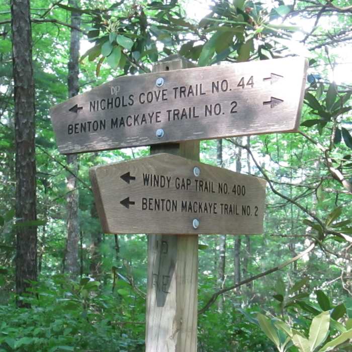 Near Nichols Cove Trail #44