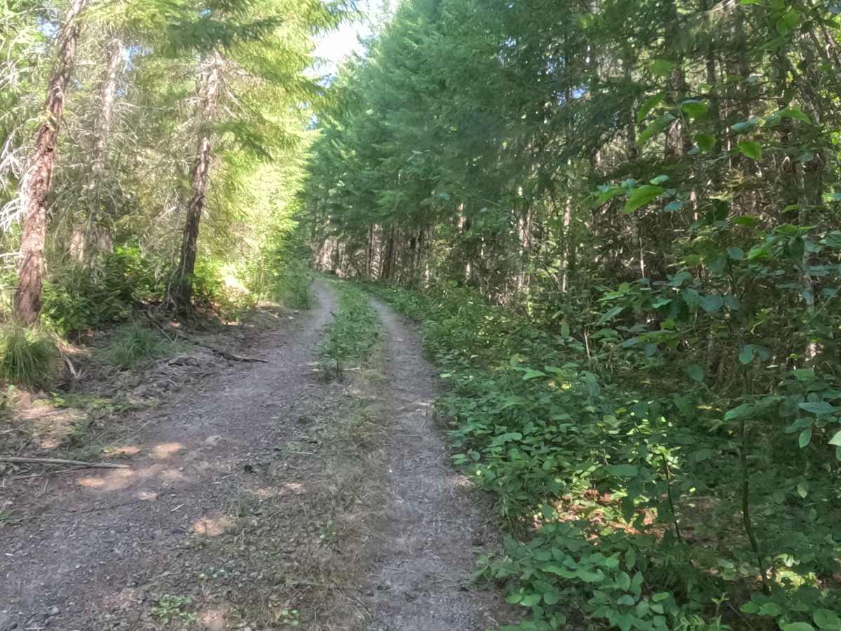 FS 2047860 photo 6