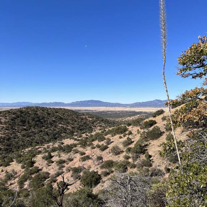 Near Arizona Trail Passage 2: Canelo Hills East Near Arizona Trail Passage 2: Canelo Hills East