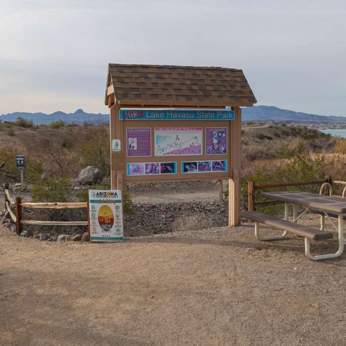 Near Mojave Sunset Trail