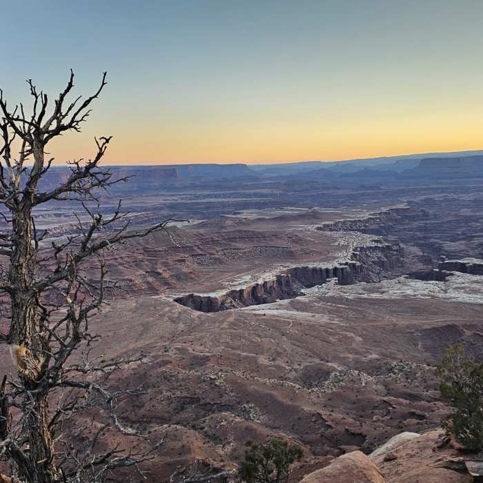 Near White Rim Overlook Trail