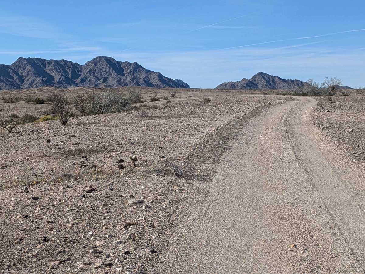 BLM 935 photo 6