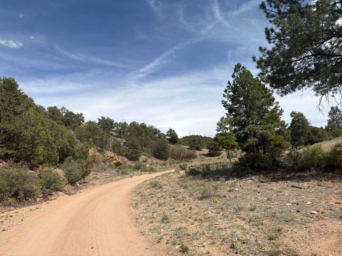 BLM 6161A photo 3