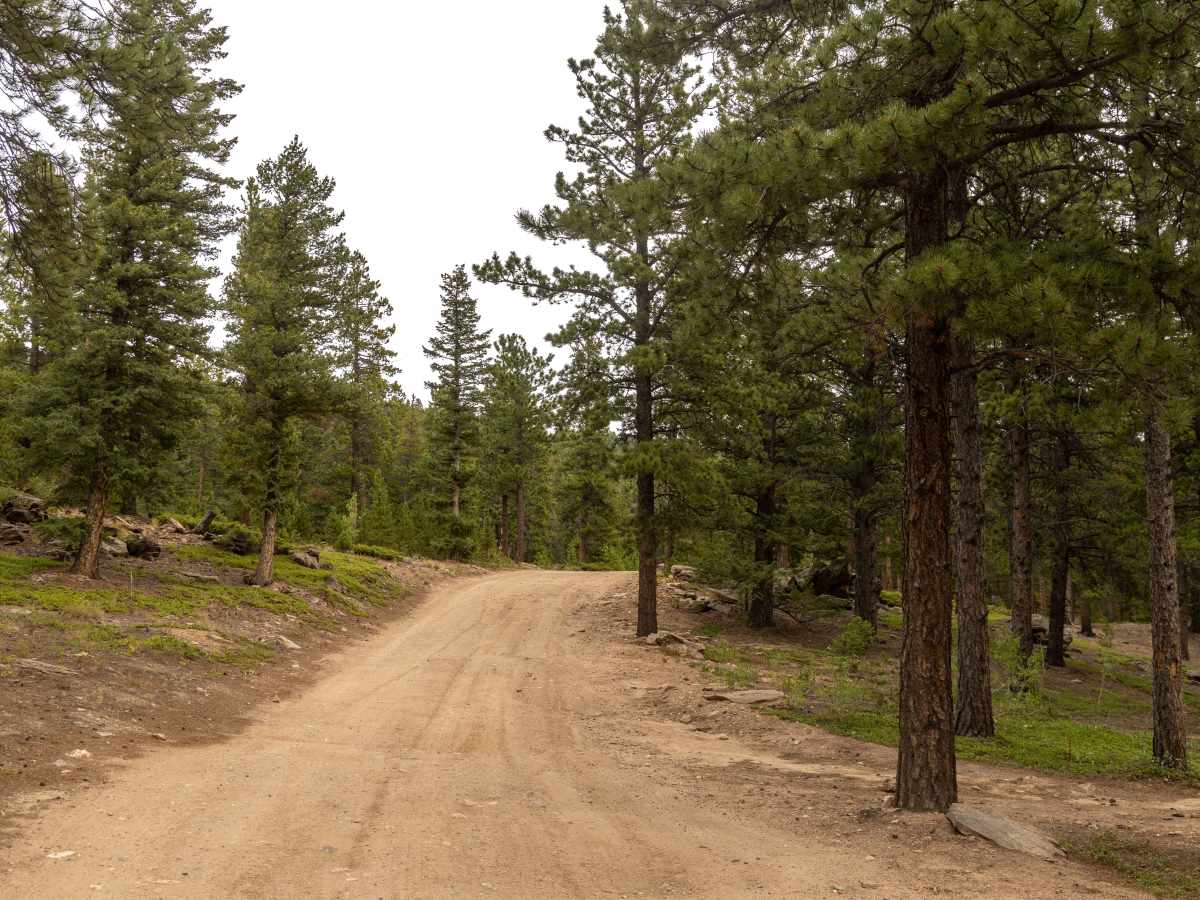 Gordon Gulch photo 4