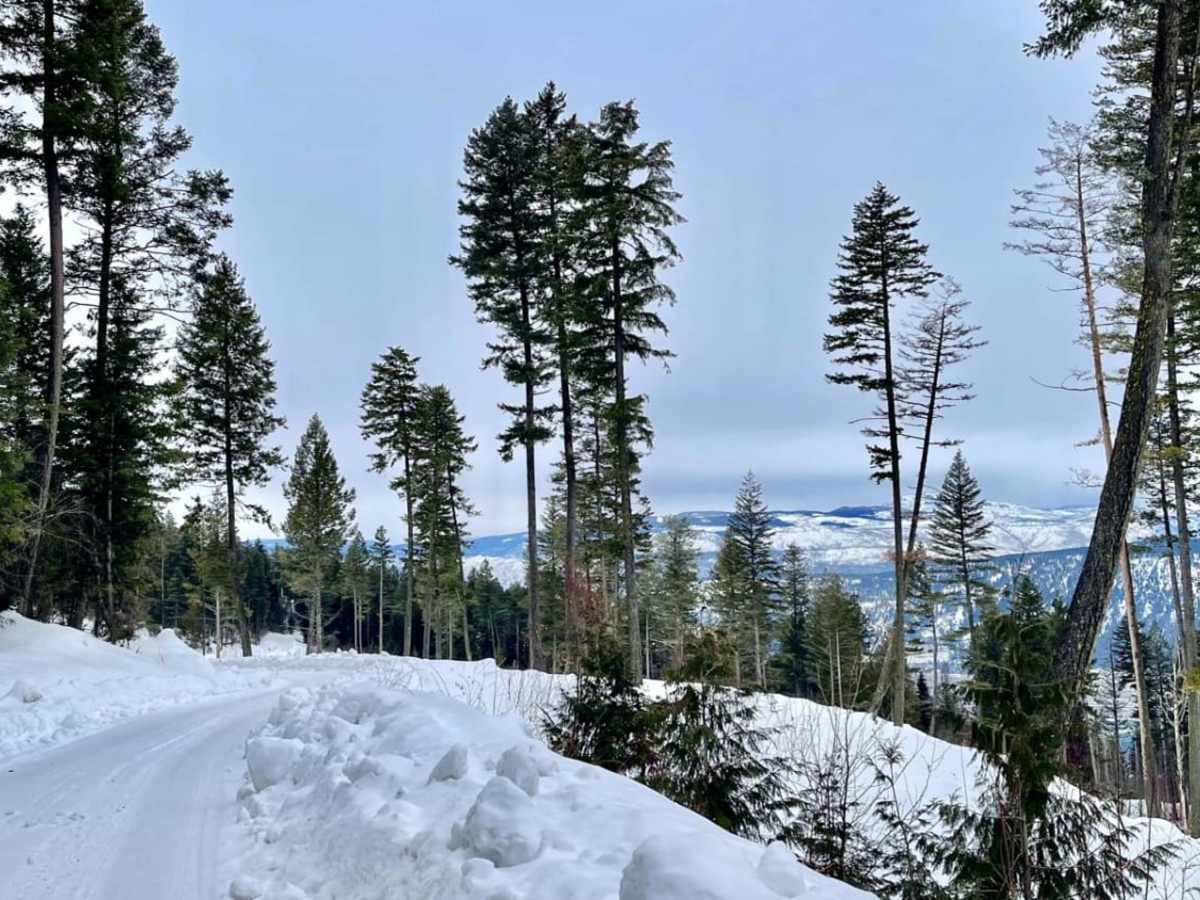 Oyma Lake Road photo 2