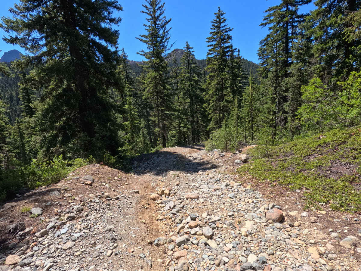 Van Epps Pass - FS 4W302 photo 4