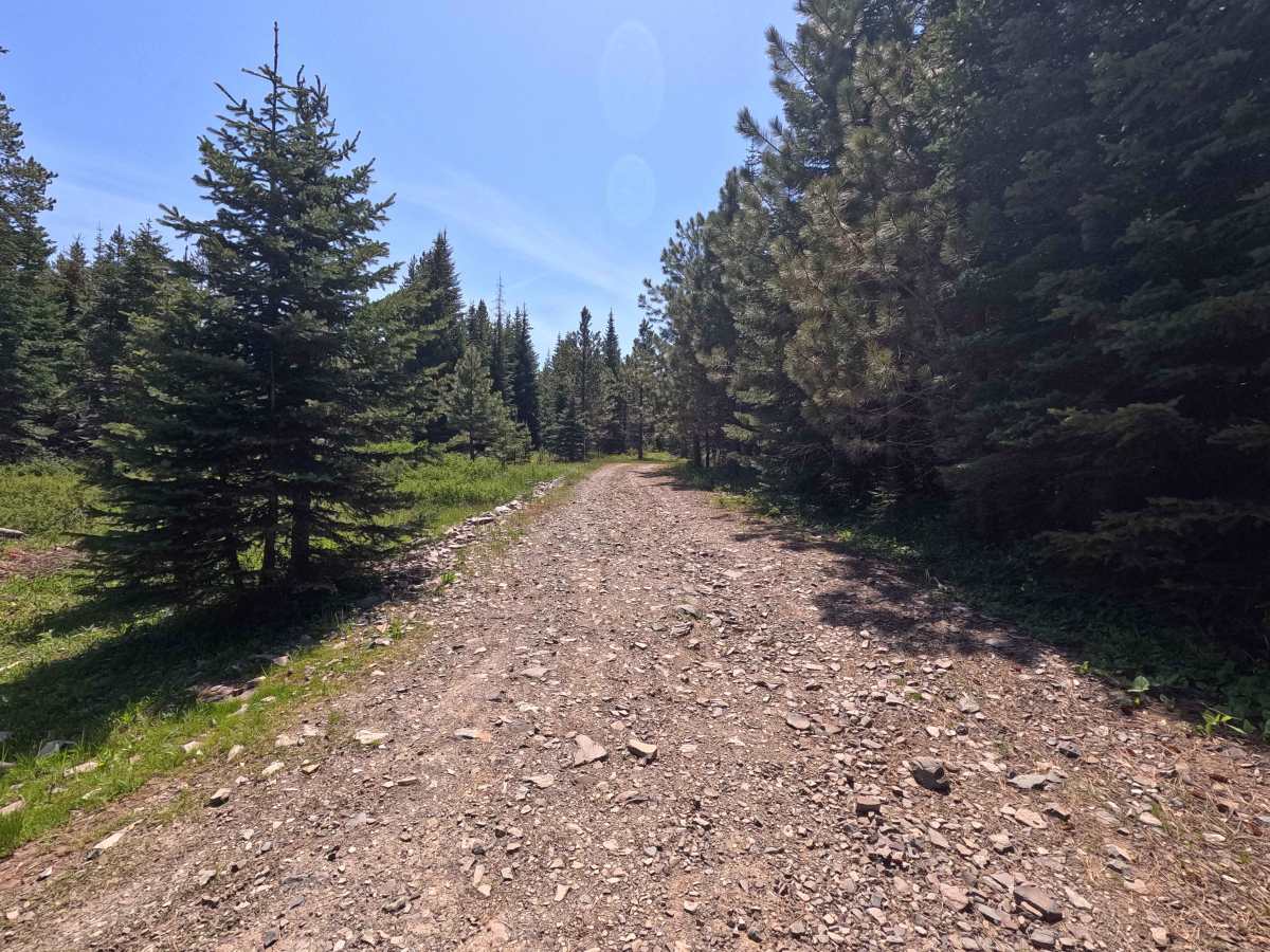 Hawk Eye - Trail 206 trail photo