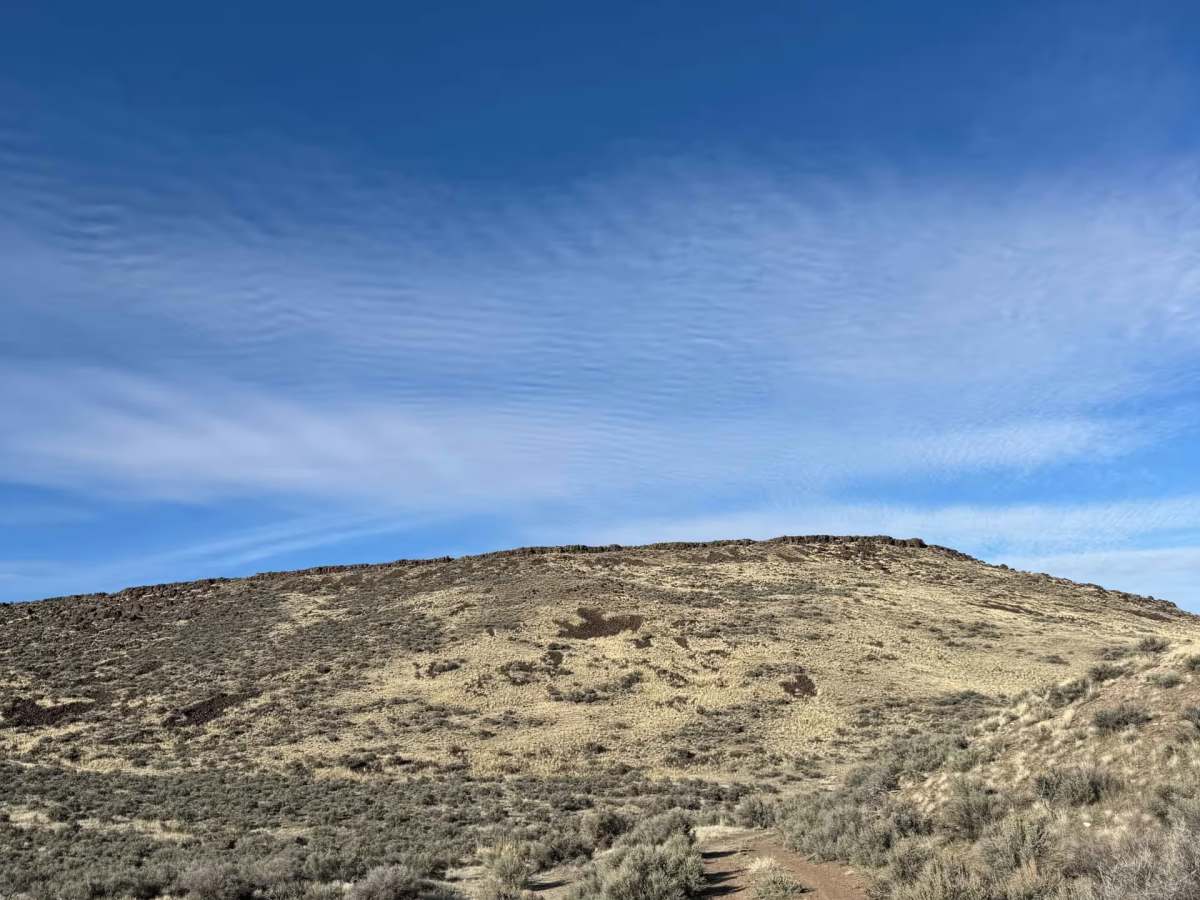 Nevada Crossing - BLM 5625 photo 2
