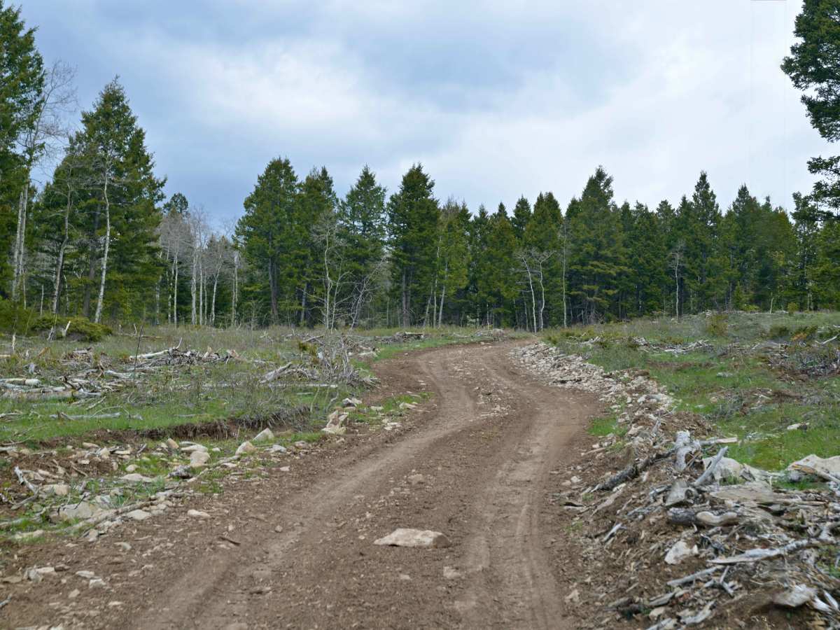 McKee Ridge - FS 10254 photo 3