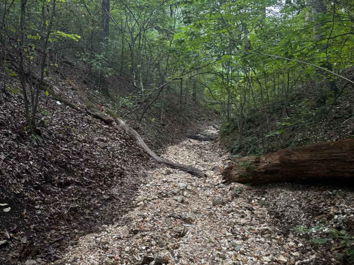 Top Down trail photo