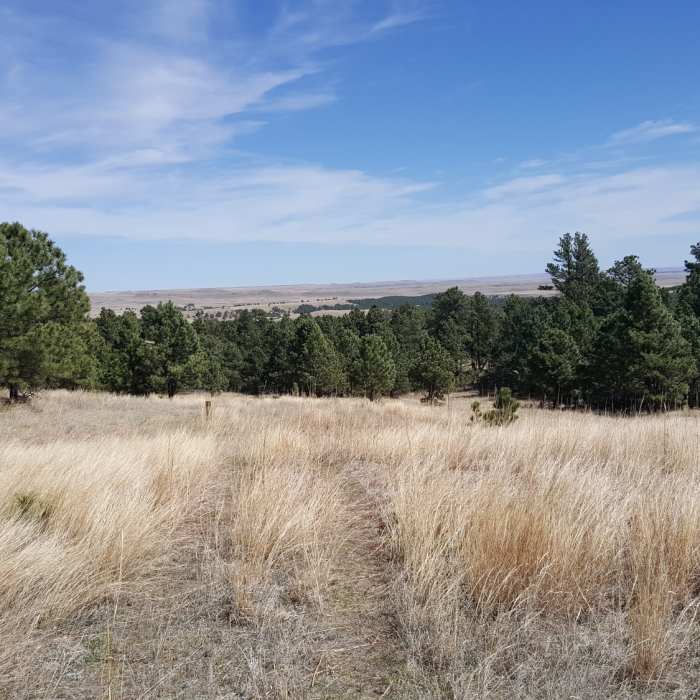 Nearing the end of the trail. Near Boland Ridge Trail
