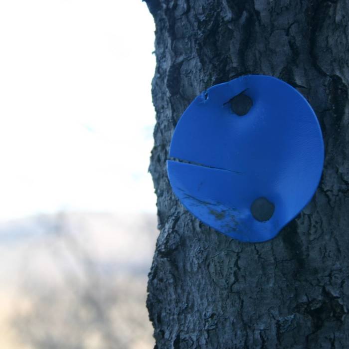 Near Fir and Big Indian Mountain