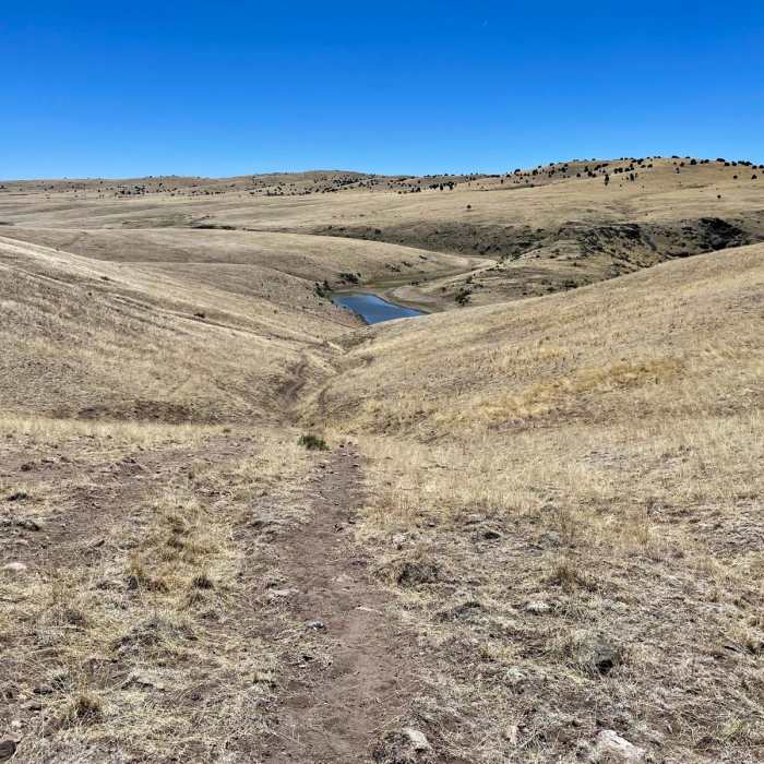 Near Continental Divide Trail: Gila River Alternate (Part 3)