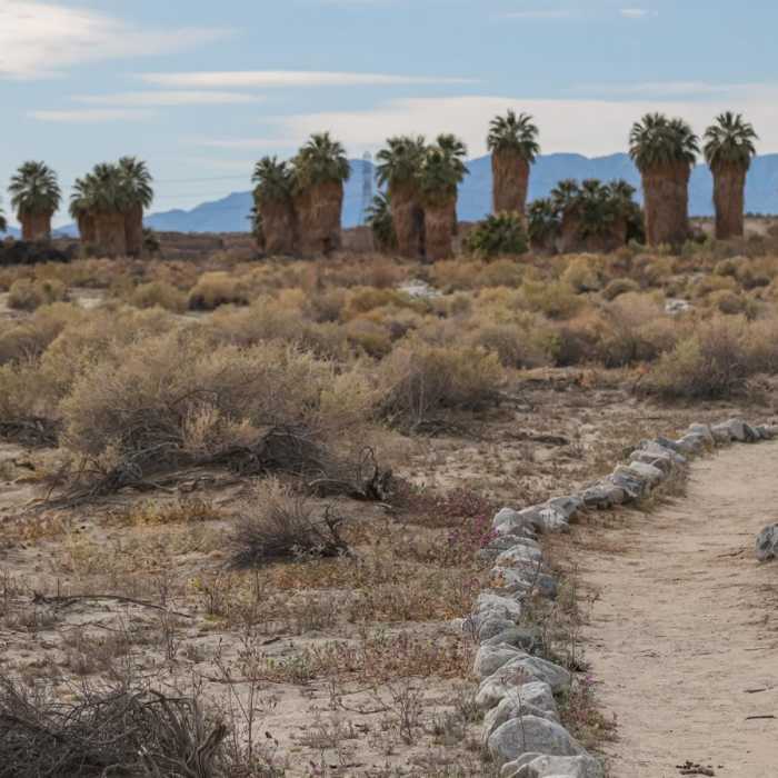 Near San Andreas Trail