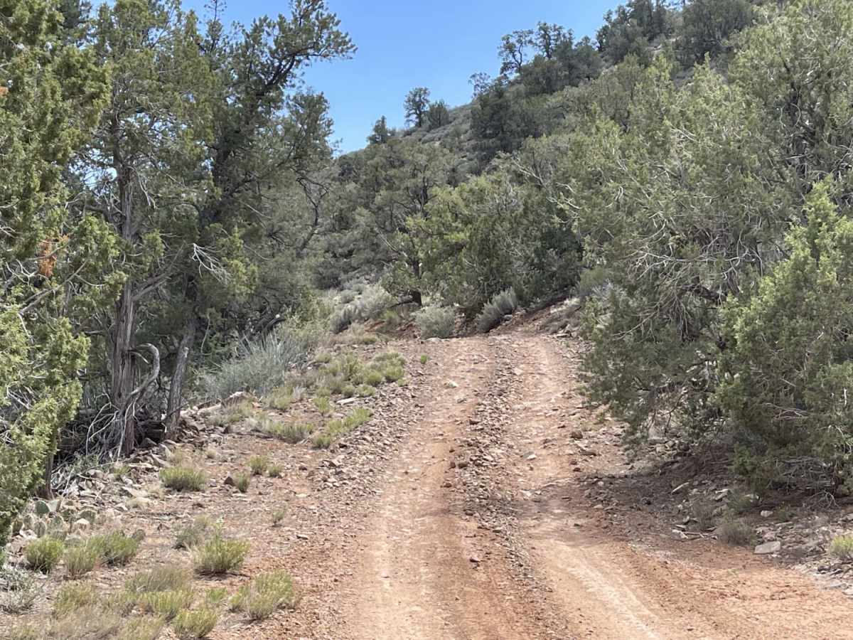 Hidden Valley Springs photo 2