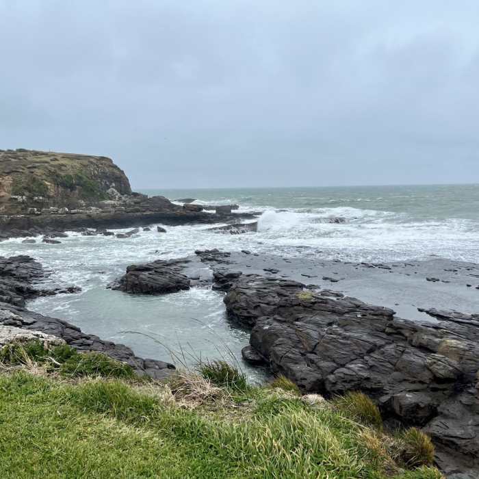 Near Curio Bay Track Near Curio Bay Track