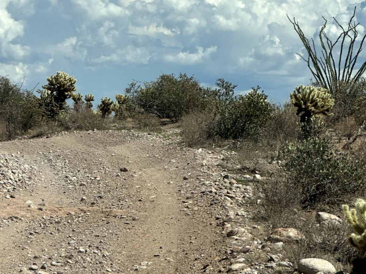 AR-LO Trail photo 5