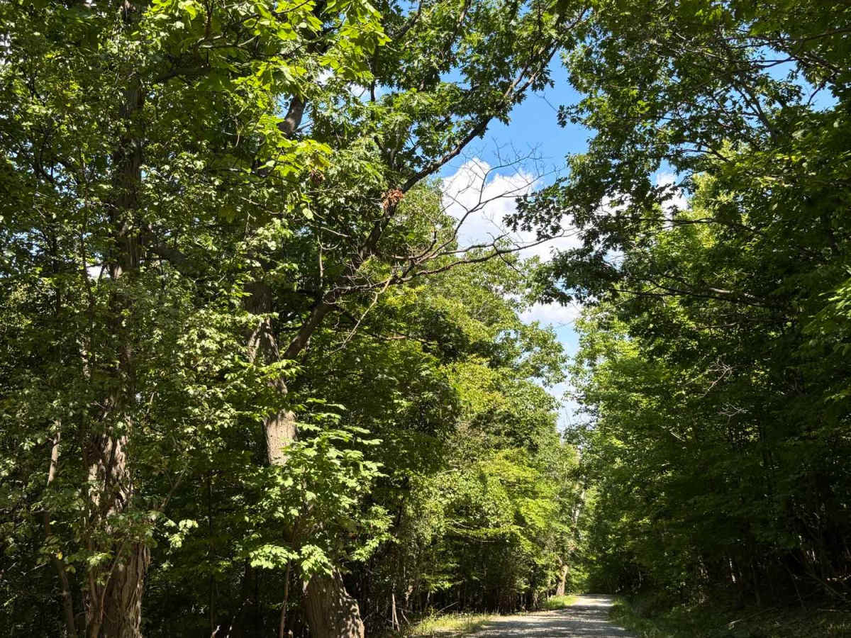 View Board Road photo 4