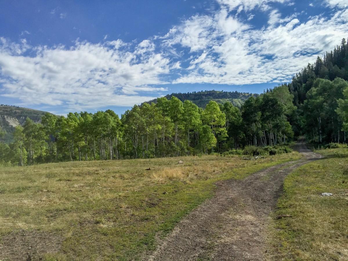 Arapeen Manti Canyon and Milky Falls trail photo