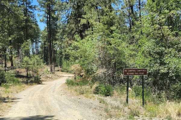 Hassayampa Creek