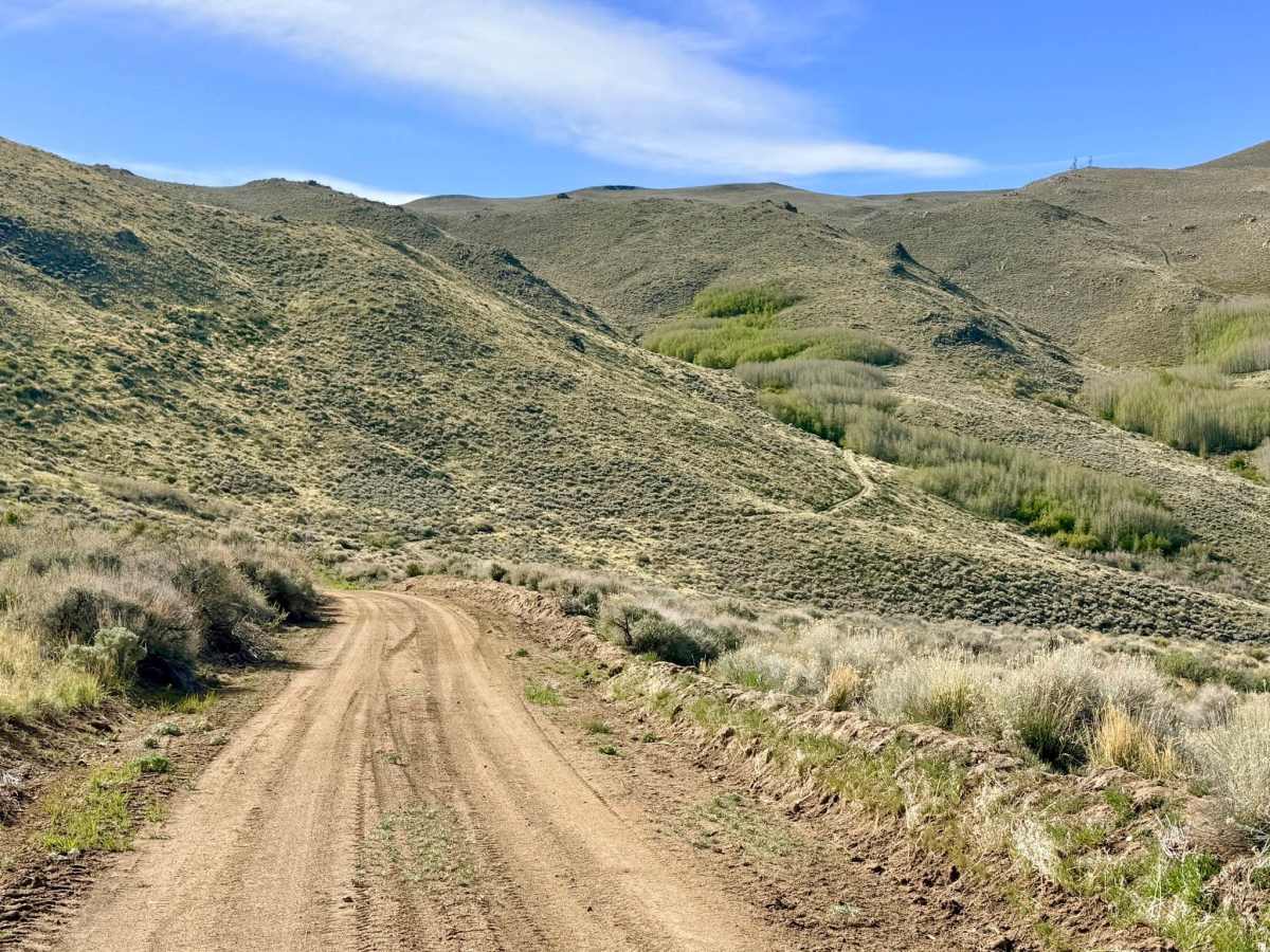 Marshall Canyon - FS 43241 photo 6