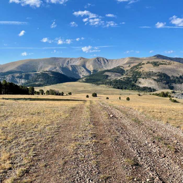 Near Continental Divide Trail: Montana-Idaho Section 7