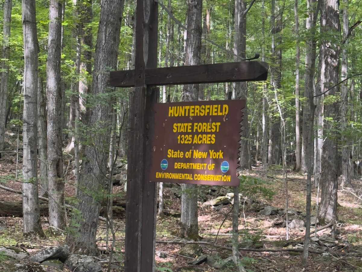 Huntersfield Pathway photo 4