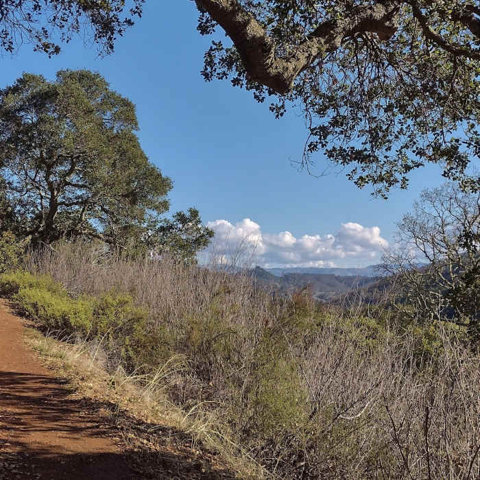 Near Llagas Creek Loop Trail