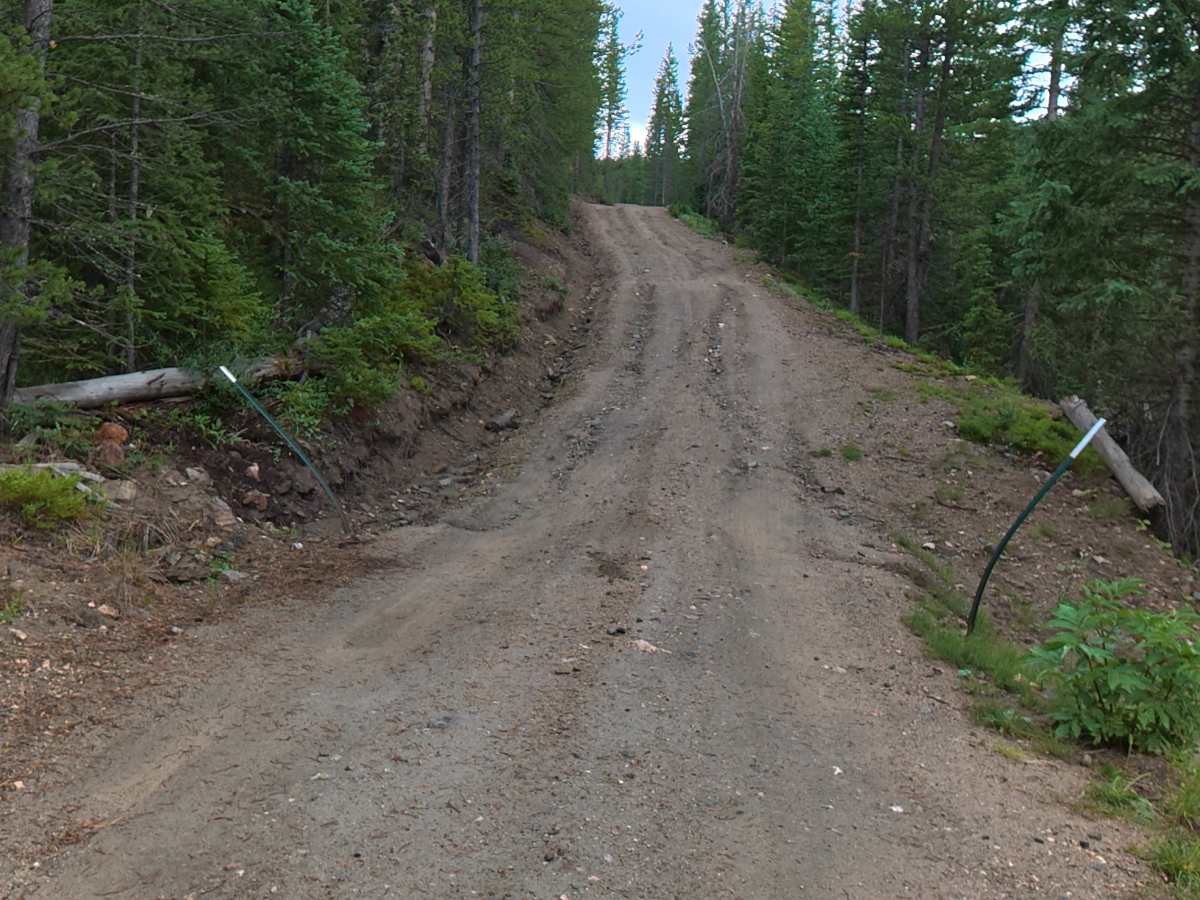 Bockman Road trail photo