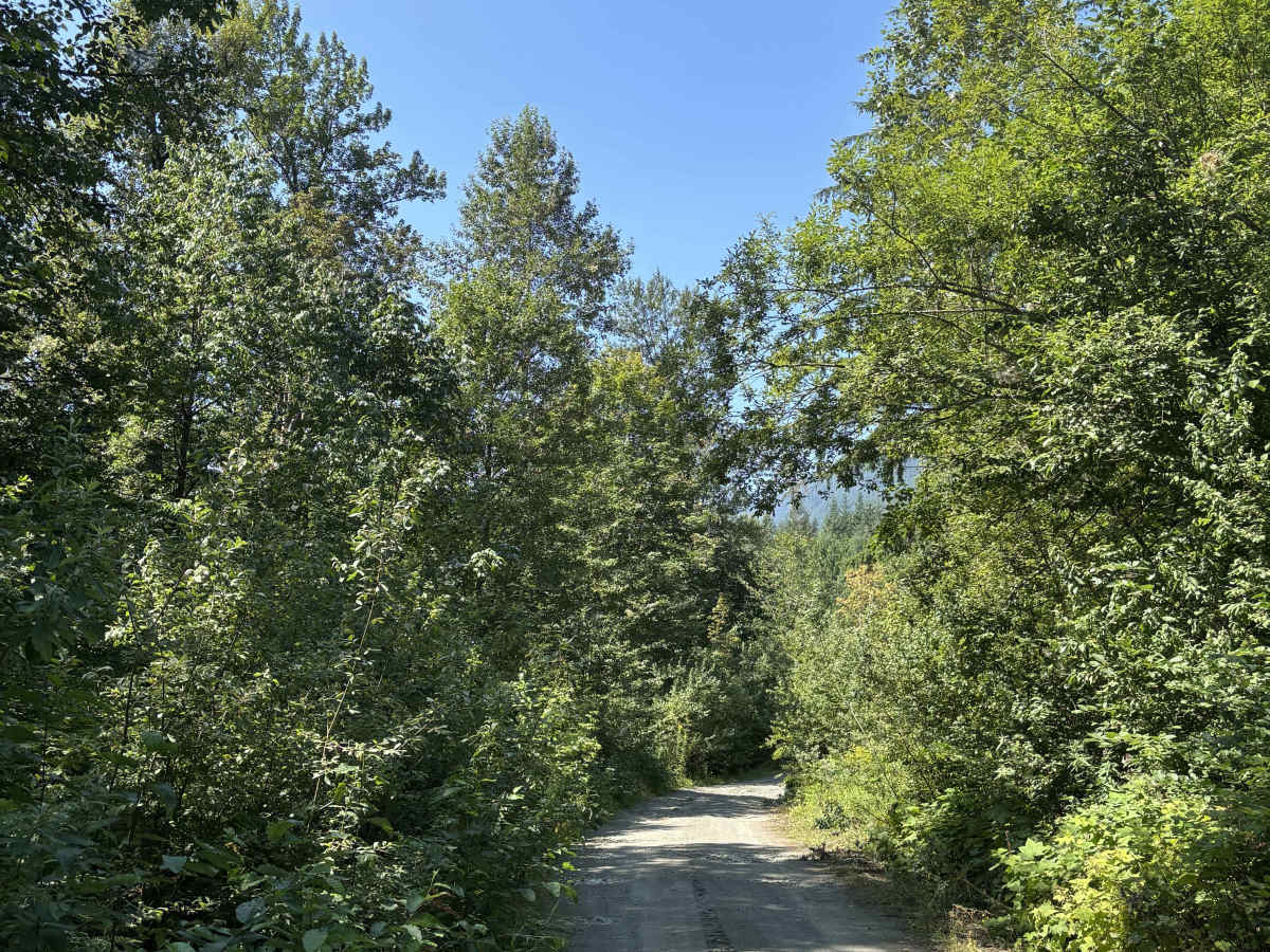 Ruby Forest Service Road photo 3