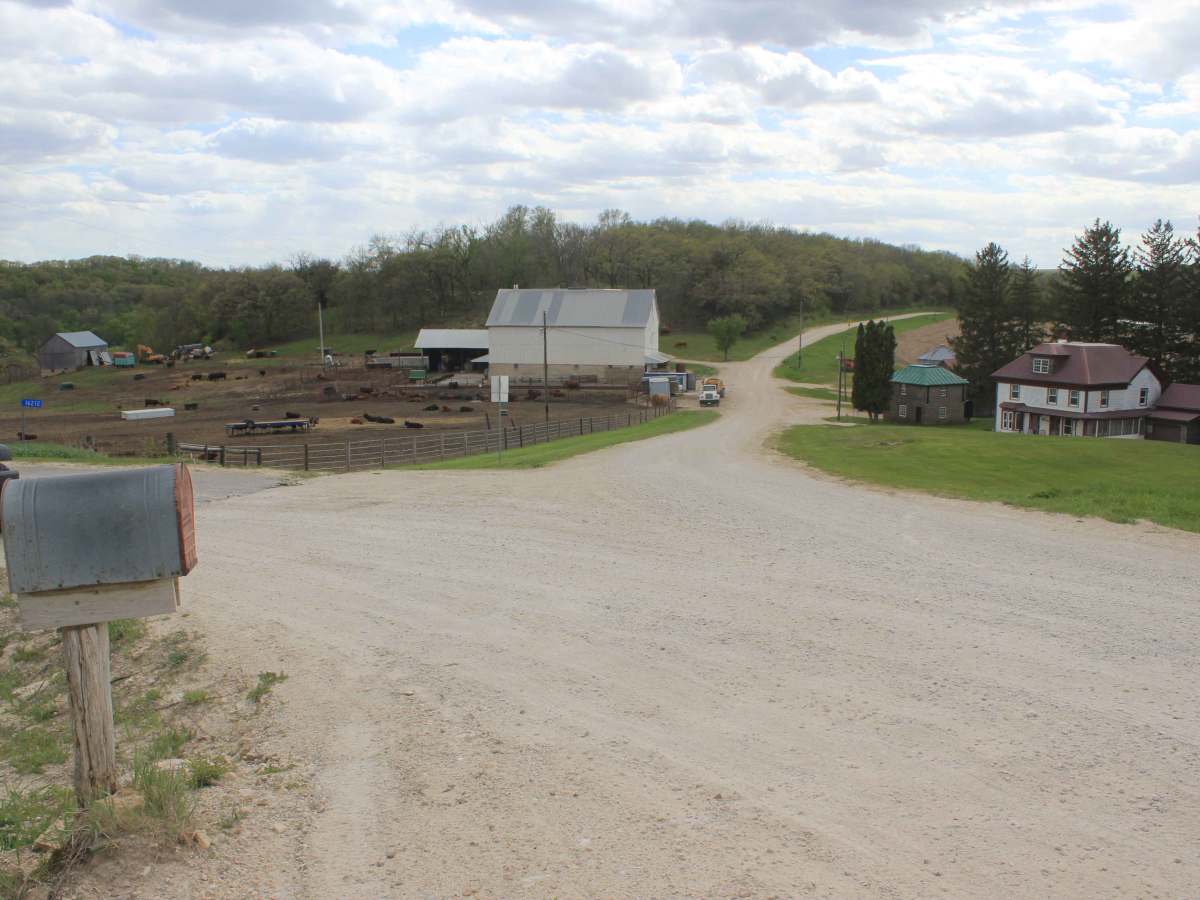 Big Springs Old Log Road photo 2