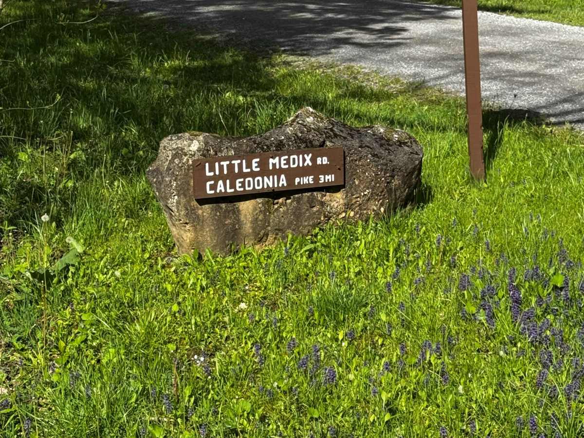 Little Medix Road trail photo