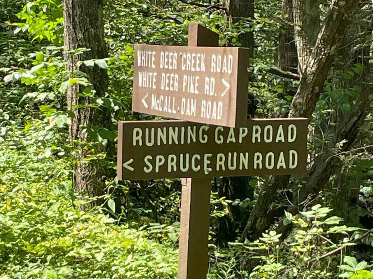 Running Gap Road trail photo