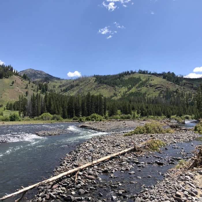 Near Lamar River Trail