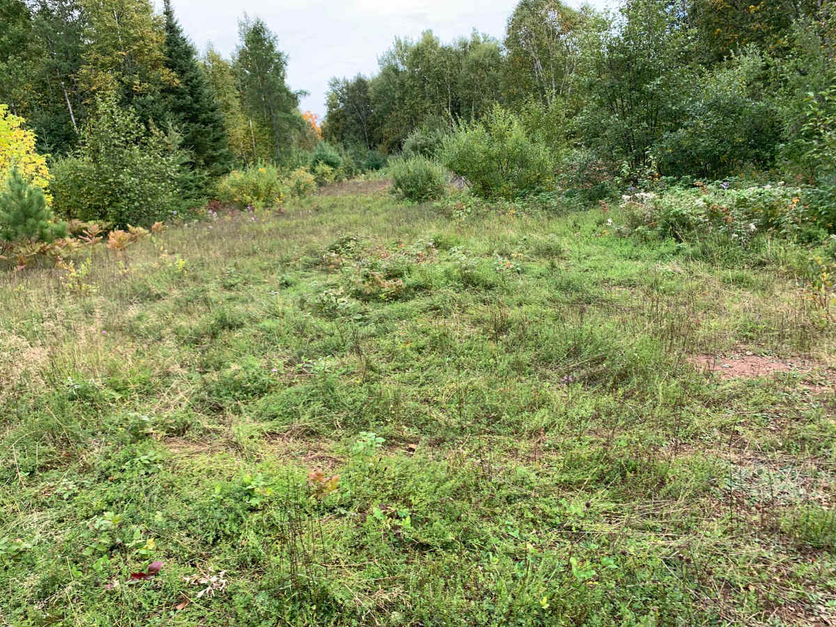Pearl Lake Trail - FS 1849 photo 5