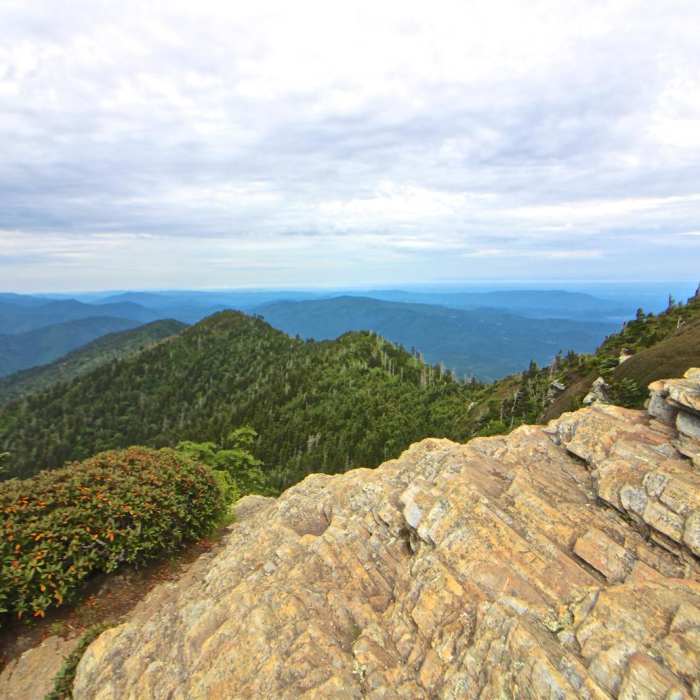 Near Mount LeConte via Alum Cave Trail Near Mount LeConte via Alum Cave Trail