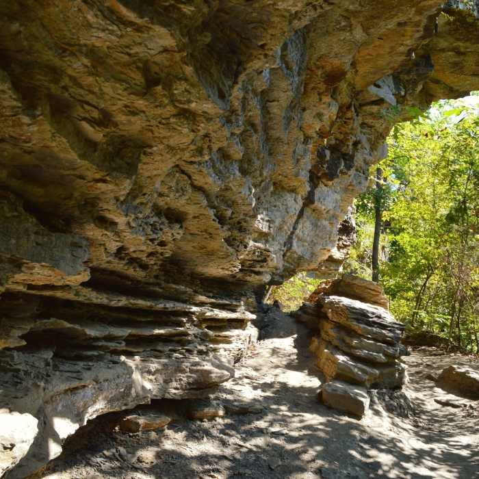 Lots of stuff like this on the way up the Yellow Rock Trail. Near Yellow Rock Trail - Devil's Den State Park