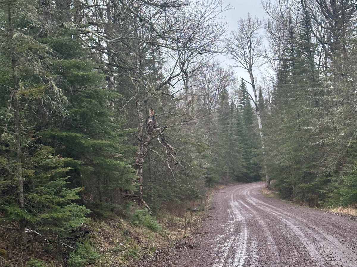 Pine Mountain Road photo 2
