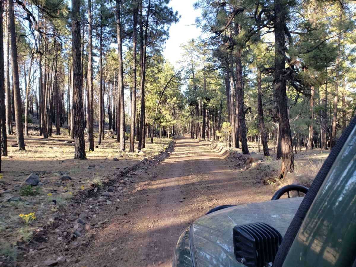 Turkey Butte trail photo