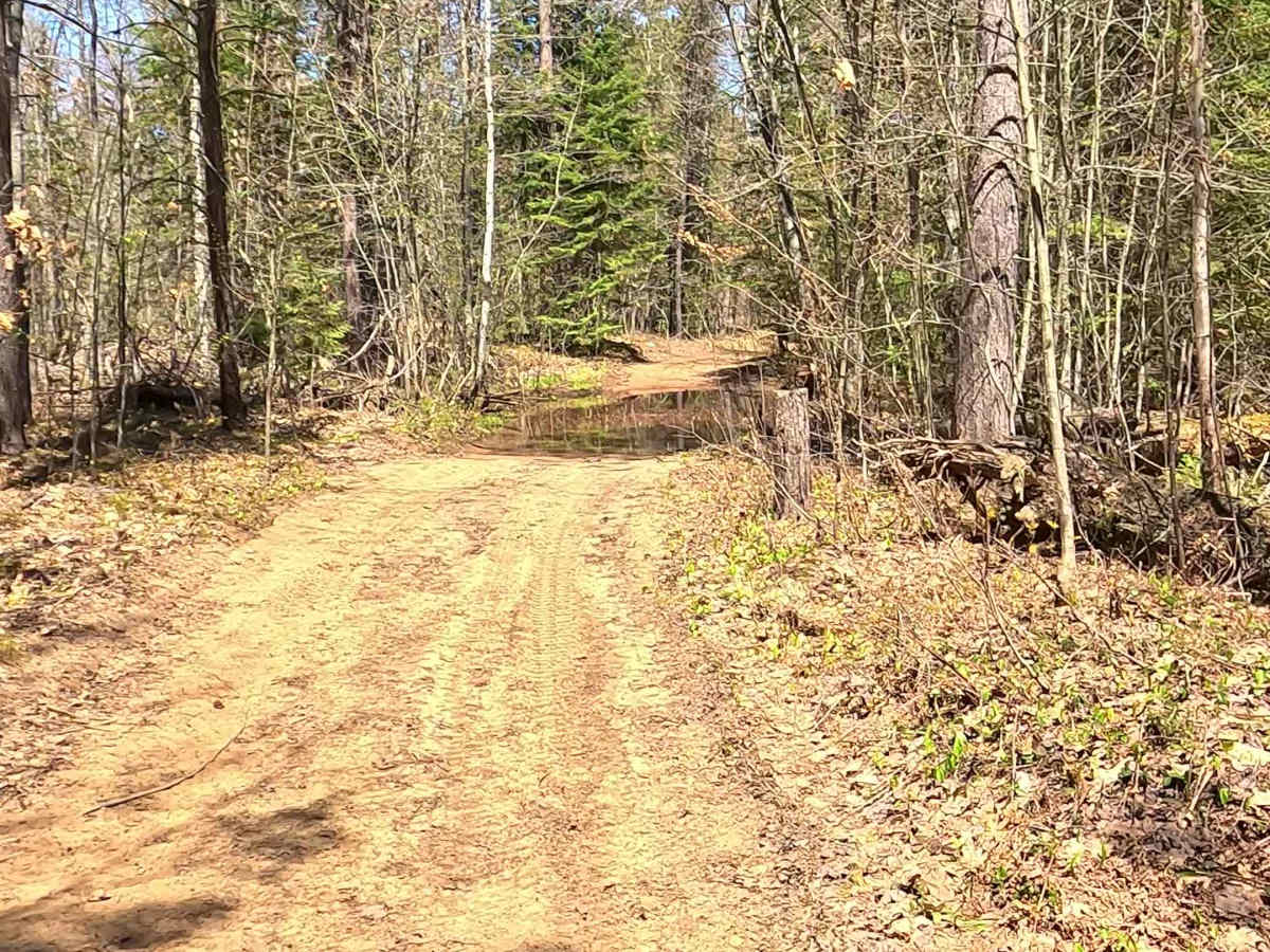 Goose Marsh Spur - FS 5177 trail photo