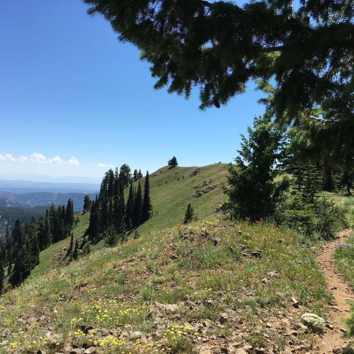 Near Oregon Butte Lookout