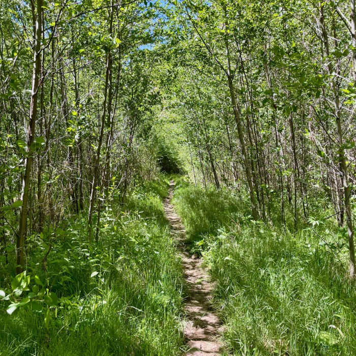 Near Jordan Hot Springs Hike
