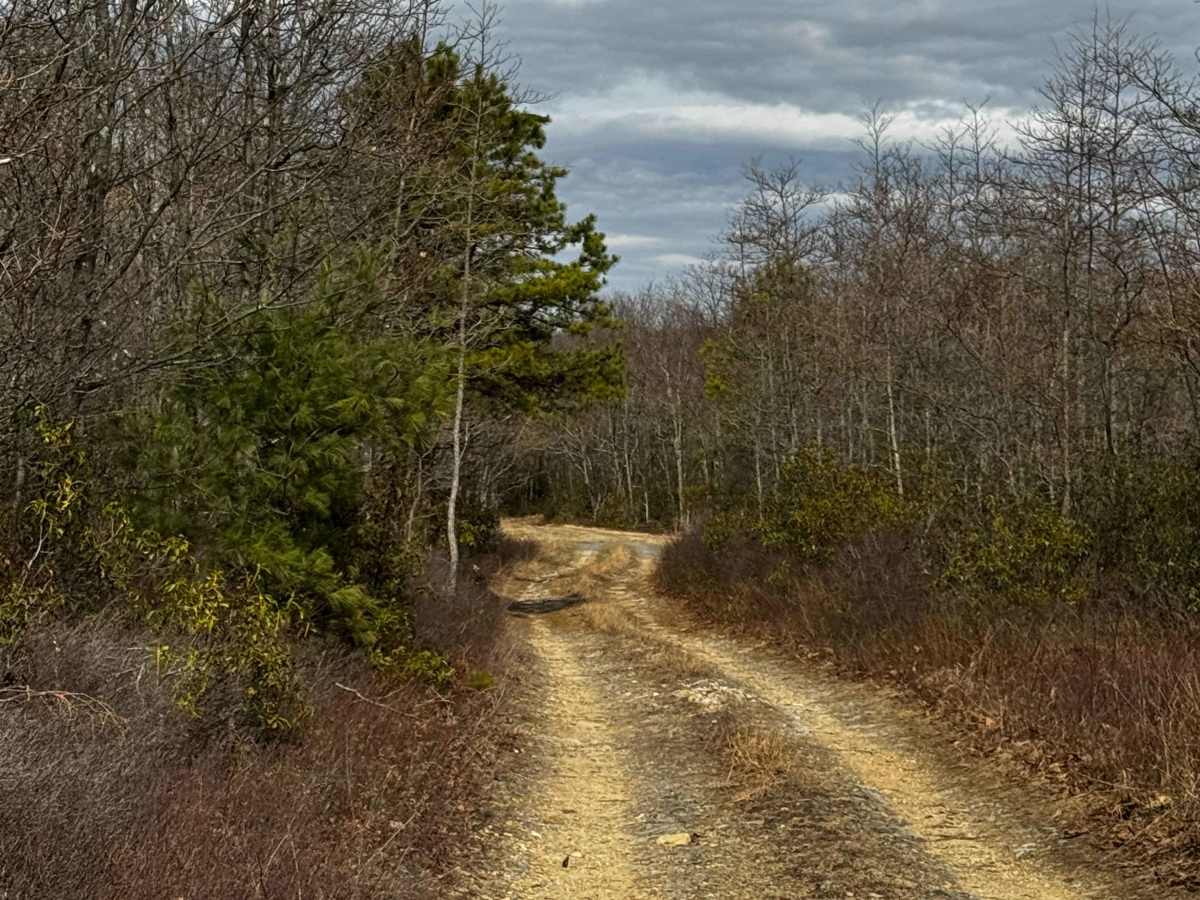 Nedcock Trail photo 3