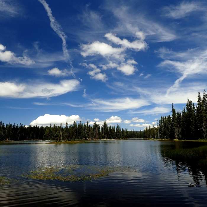Near Blue Lake Basin Loop
