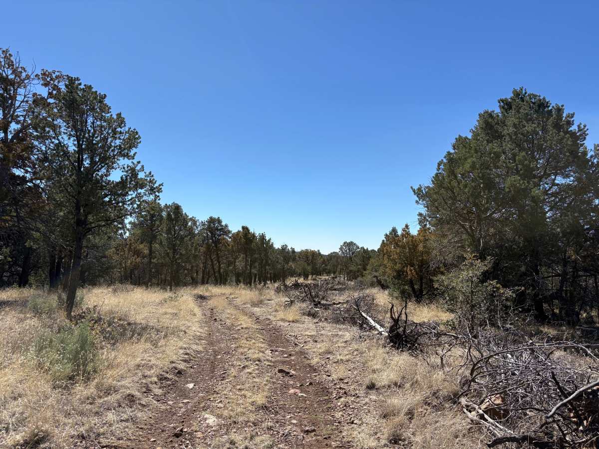 Hay Mesa - Trail 976  photo 4