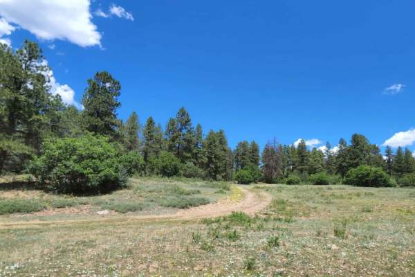 Dry Canyon A Road