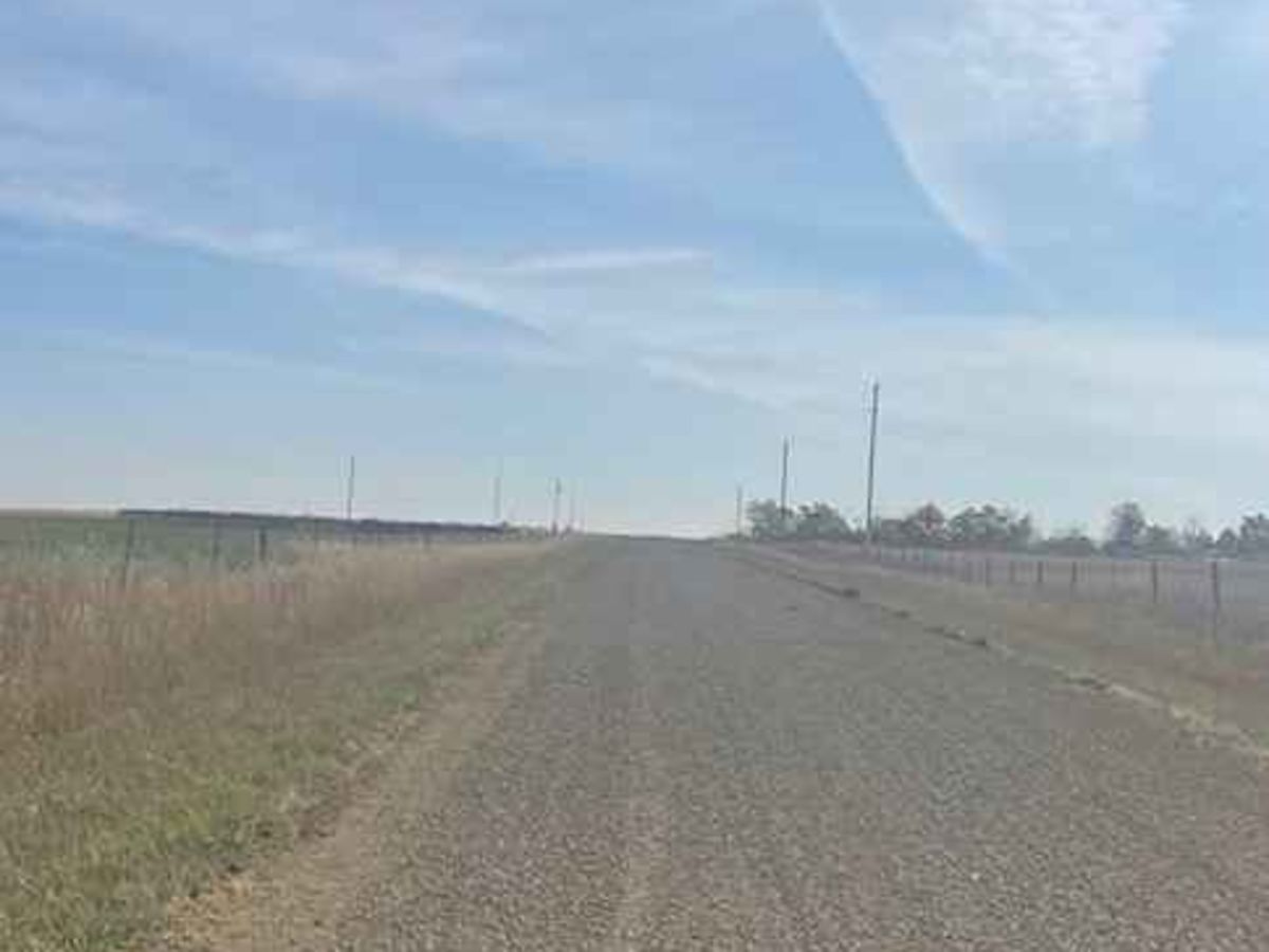 Rapelje Road photo 2