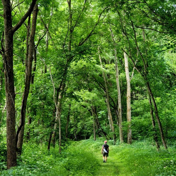 Near Cannon River Wilderness Trail (West)