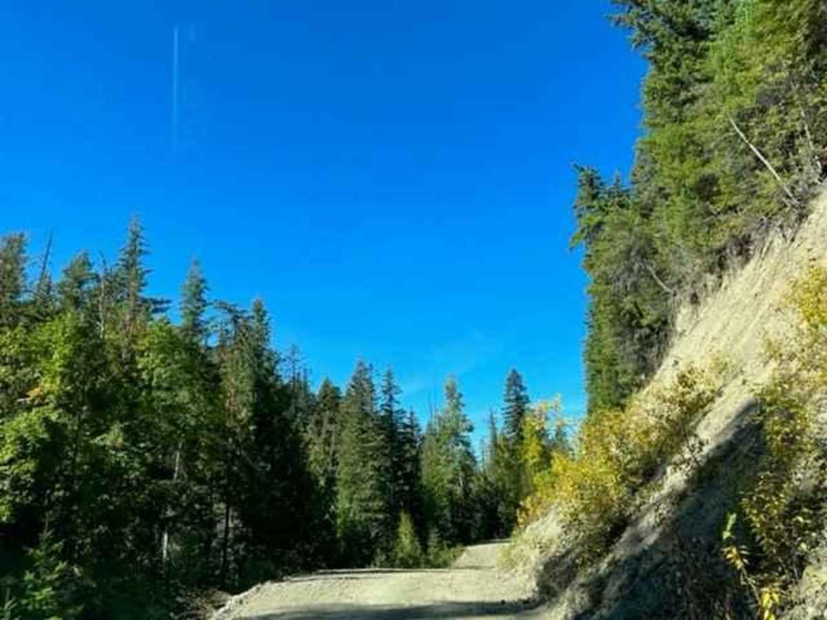 Barriere Lake Road photo 3